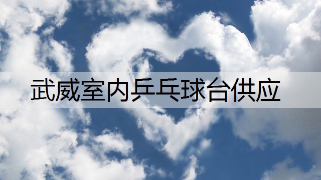 武威室内乒乓球台供应