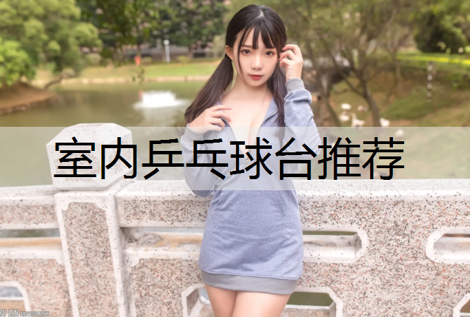 室内乒乓球台推荐