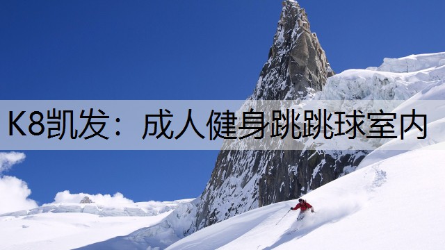成人健身跳跳球室内