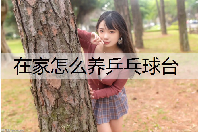 在家怎么养乒乓球台